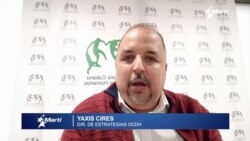Yaxis Cires, director de estrategias de OCDH