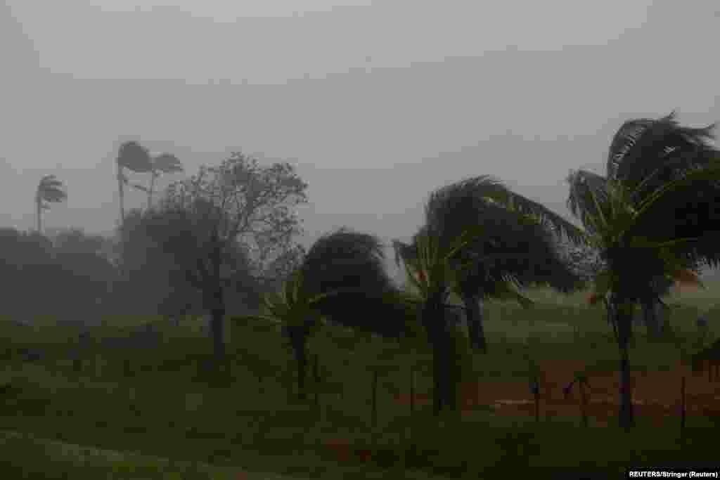 Fuertes vientos y&nbsp; lluvias impactaron los cultivos después de que el huracán Ian tocara tierra antes en la provincia cubana de Pinar del Río, en Consolación del Sur, Cuba, el 27 de septiembre de 2022. REUTERS/Stringer&nbsp;