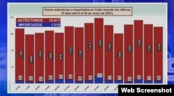 Casos autóctonos e importados de COVID19 en cuba en los últimos 15 días. (Captura de video/MINSAP)