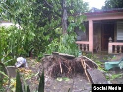 Las caídas de árboles y postes sobre los tendidos al paso de Michael provocaron cortes eléctricos en todo Pinar del Río.