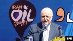 El ministro del Petróleo de Irán, Bijan Namdar Zanganeh, durante una conferencia en mayo pasado. (Archivo)
