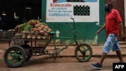 Un carretillero vende piñas y cebollinos en una calle de La Habana. (YAMIL LAGE / AFP)