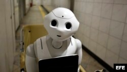 Pepper, un robot que vive la vida de un humano