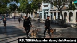Boinas negras con perros recorren el Paseo del Prado en el primer aniversario del estallido del 11 de julio.
