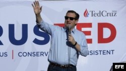El precandidato republicano Ted Cruz se dirige a sus seguidores en un acto de campaña en Nevada. EFE
