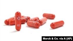 Gran Bretaña autorizó el antiviral contra el coronavirus de Merck, la primera píldora contra el COVID-19. (Merck & Co. via AP).