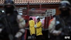Expertos en minería analizan el uranio decomisado por la policía boliviana el martes 28 de agosto de 2012, luego de un operativo policial. 