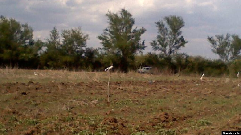 Las tierras ociosas abundan en Cuba. (Archivo)