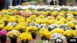 Numerosas personas esperan para comprar flores.