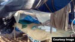 Los reos trabajan en pésimas condiciones en el campamento El Inglesito, ubicado en San Rafael Horquita, municipio Abreu, en Cienfuegos.