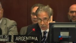 Miembros de la OEA se debaten entre la aplicación o no de la Carta Democrática a Venezuela