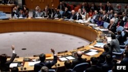 Consejo de Seguridad de la ONU.