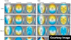 Los rasgos faciales reflejan la edad a medida que se envejece, según el estudio de la Universidad Fudan en Shanghái.