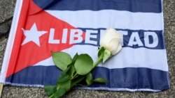La rosa blanca es el símbolo elegido por Archipiélago para los participantes en la Marcha Cívica por el Cambio en Cuba. ORDONEZ / AFP
