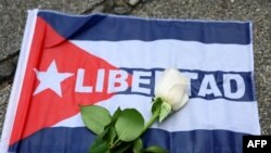 La rosa blanca, símbolo elegido por Archipiélago para los participantes en la Marcha Cívica por el Cambio en Cuba. (ORDONEZ / AFP)