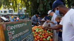 Cubanos compran vegetales en un puesto callejero en La Habana. REUTERS/Stringer