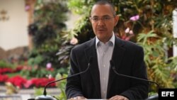El ministro venezolano de Comunicación e Información, Ernesto Villegas, mientras ofrece una rueda de prensa el 24 de diciembre de 2012, en Caracas (Venezuela).