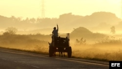 Un campesino conduce un carretón por la autopista nacional, en la occidental provincia de Pinar del Río