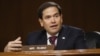 Marco Rubio (R) Senador por el Estado de La Florida