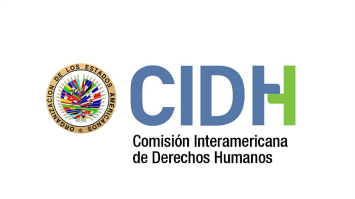 Comisión Interamericana de derechos humanos