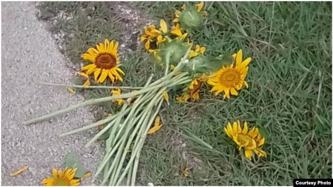 Policía destruye flores para homenaje a Payá y Cepero Foto cortesía deOtoniel Cruz 