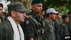 Disidentes de las FARC