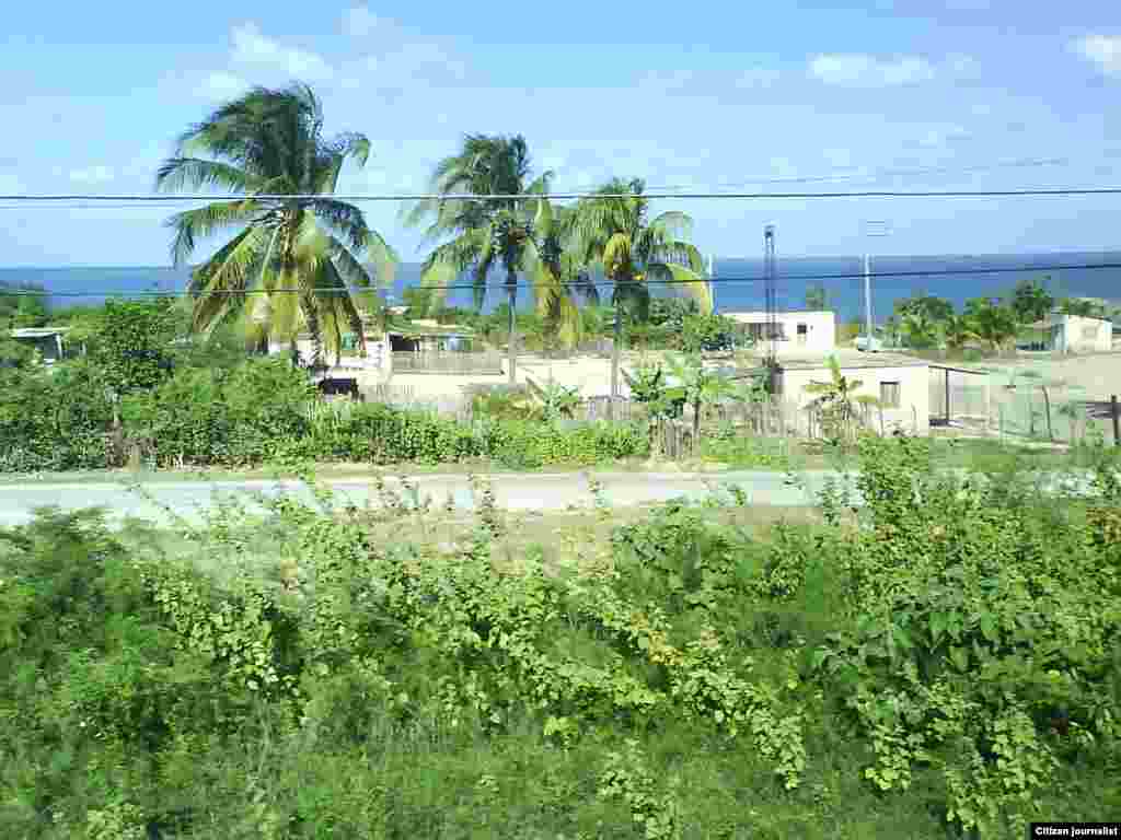 Reporta Cuba. Campos de Camagüey.