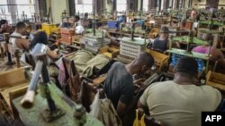 Empleados de una fábrica de tabacos H. Upmann.