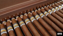 Un puro Cohiba Behike puede llegar a costar entre $36 y $47 dólares.