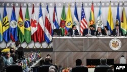 David Smolansky en una sesión de la OEA junto a su Secretario General, Dr. Luis Almagro