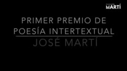 Armando Añel: Premio de Poesía Intertextual José Martí