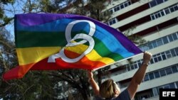 Un hombre ondea la bandera arcoíris durante la Conga Cubana Contra la Homofobia.