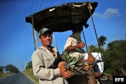 Dos campesinos venden piñas en una carretera rural de Pinar del Río (Cuba).