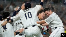 Jugadores del equipo de Japón celebran una victoria en el Clásico Mundial de Béisbol.