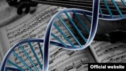La investigación sugiere que los genes MAOA y CDH13 influyen en la conducta violenta.