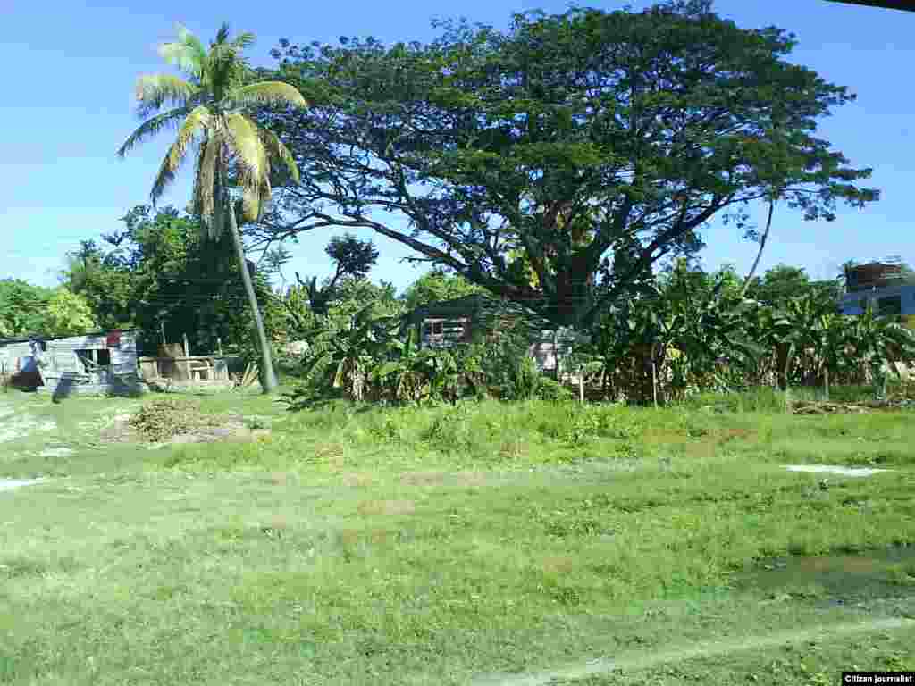 Reporta Cuba. Campos de Camagüey.