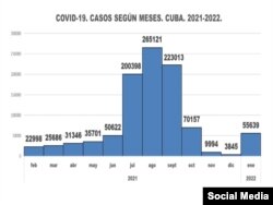 La gráfica muestra el número de casos de COVID-19 por meses en Cuba. (Facebook/MINSAP)