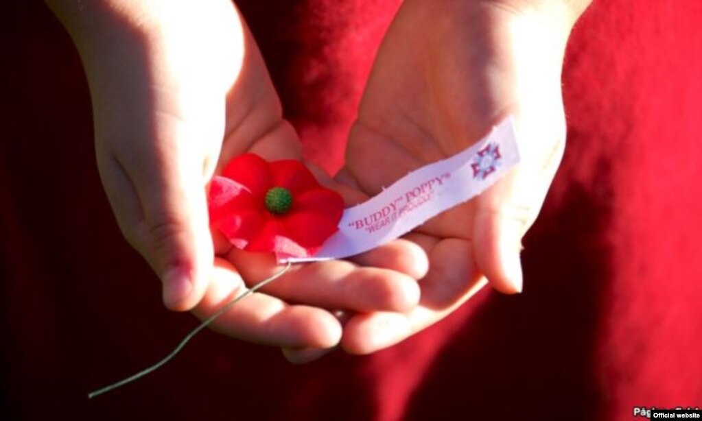 Campaña de Amapolas Rojas de los Veteranos estadounidenses de Guerras Extranjeras. Los fondos recaudados se donan a veteranos discapacitados.