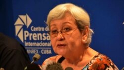 Para opositores cubanos las palabras de la relatora son insultantes