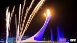 Sochi, Olimiadas de Invierno 2014.