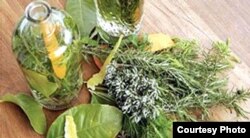 Algunas plantas se consumen o aplican en la medicina verde; otras se usan para "limpiezas" rituales.