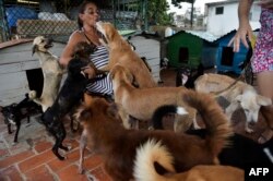 Noris juega con los perros en un refugio privado para animales en La Habana. (YAMIL LAGE / AFP)
