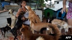 Noris Pérez juega con perros en un refugio privado para animales. (Yamil Lage / AFP)
