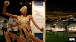 Cuerpo plastificado de un hombre que practica tai-chi que se muestra en la exposición "Las maravillas del cuerpo humano".