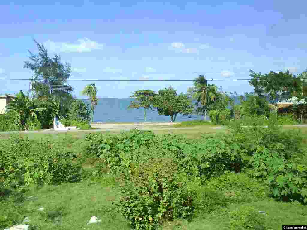 Reporta Cuba. Campos de Camagüey.