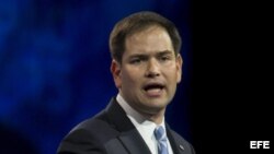 El senador republicano por Florida, Marco Rubio.