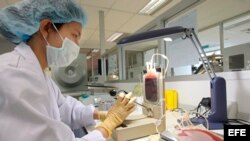 Investigadores de la THAI StemLife Company en Bangkok (Tailandia).