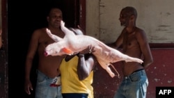 Un hombre carga un cerdo en sus hombros en una calle de La Habana.