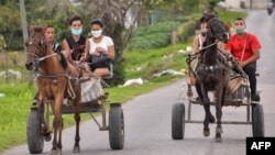Cubanos utilizan los coches de caballo como medio de transporte. (Yamil Lage/AFP).