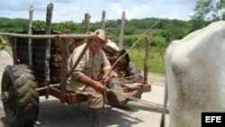Un campesino cubano